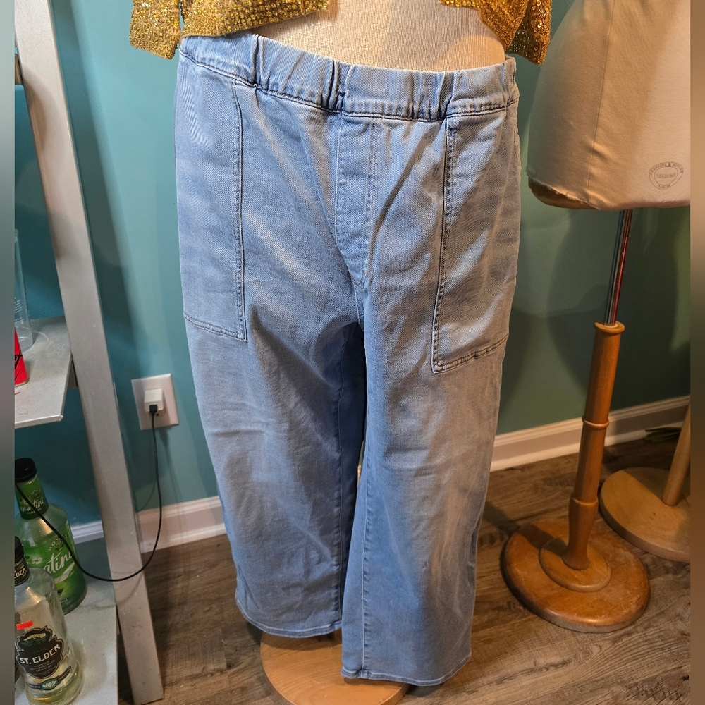 Madewell Plussize Pull-on Relaxed Light Wash Jeans